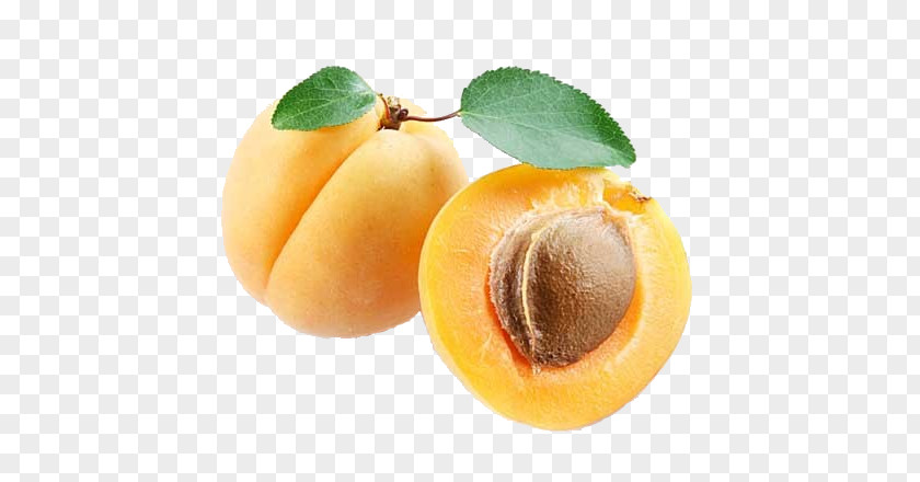 Apricot Clip Art PNG