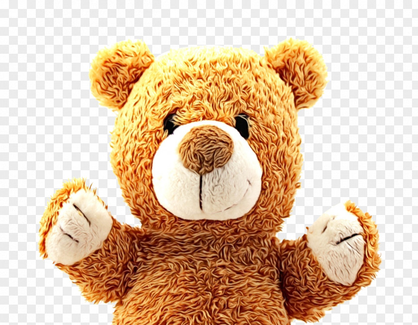 Brown Bear Teddy PNG