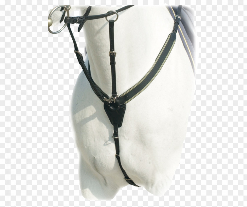 Horse Breastplate Pony Martingale Show Jumping PNG