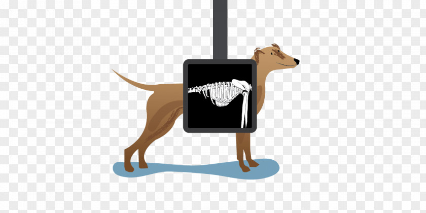 Puppy Dog Breed Leash Cartoon PNG