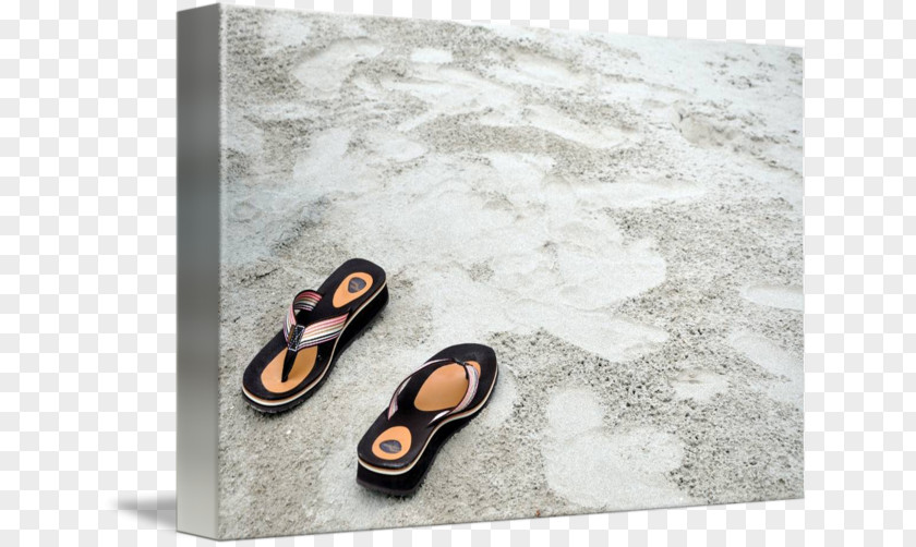 Beach Slippers Flip-flops Brand Shoe PNG