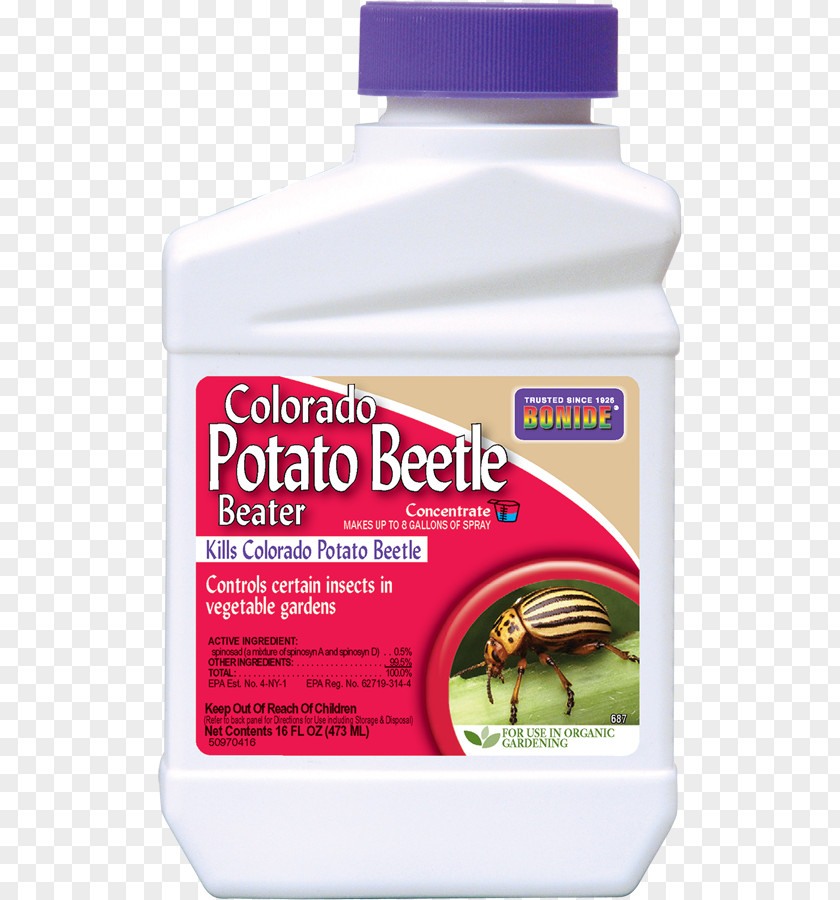 Beetle Insecticide Pesticide Colorado Potato Household Insect Repellents PNG