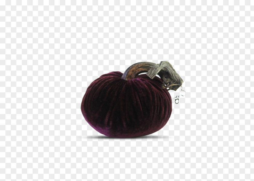 Fig Carrot Purple PNG