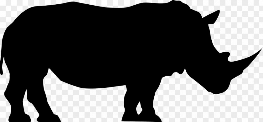 Rhinoceros Clip Art PNG