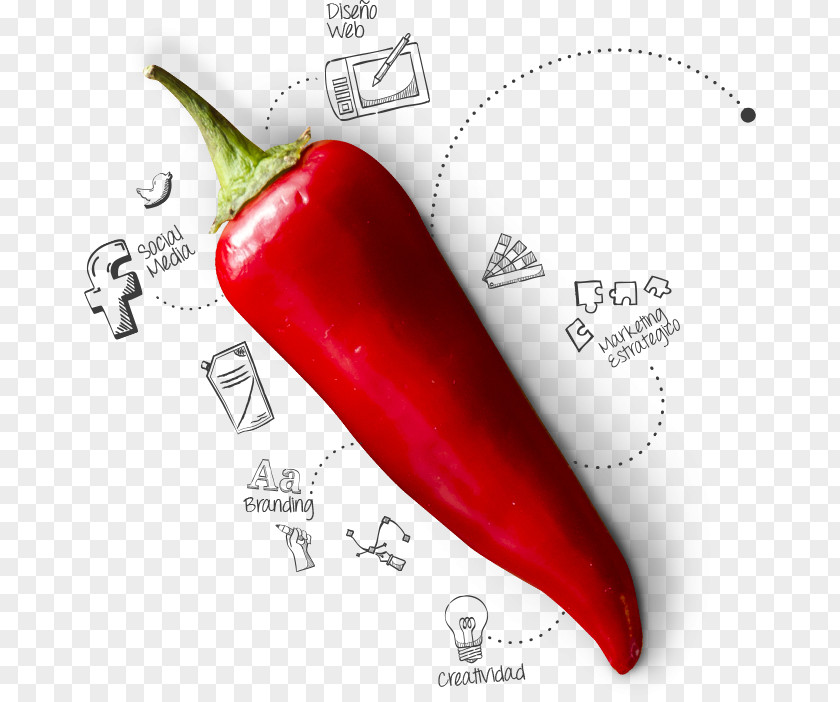Design Serrano Pepper Tabasco Cayenne Chili PNG