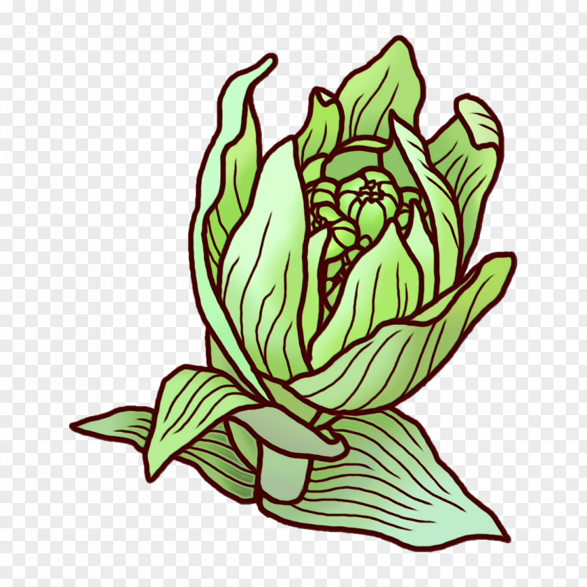 Floral Design PNG