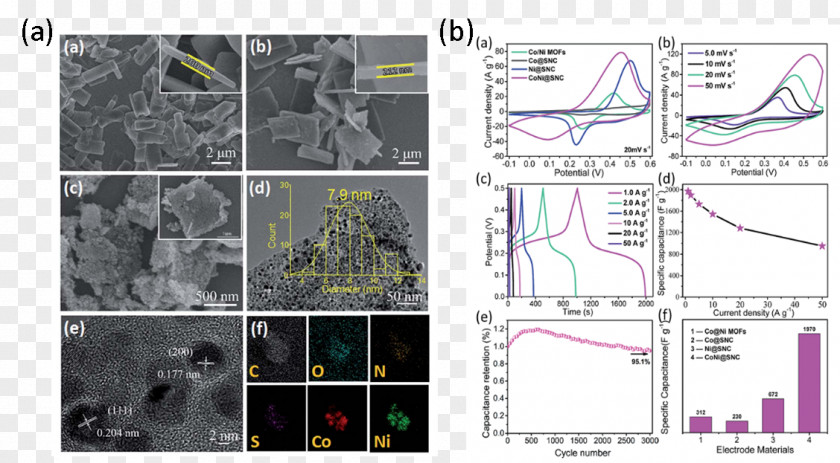 Hefei Institutes Of Physical Science Institute Solid State Physics Metal Material Chinese Academy Sciences PNG