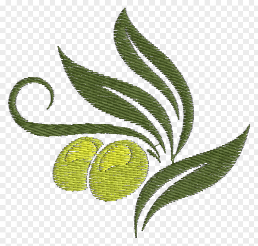 Olive Oil Mediterranean Cuisine Vector Graphics Greek PNG