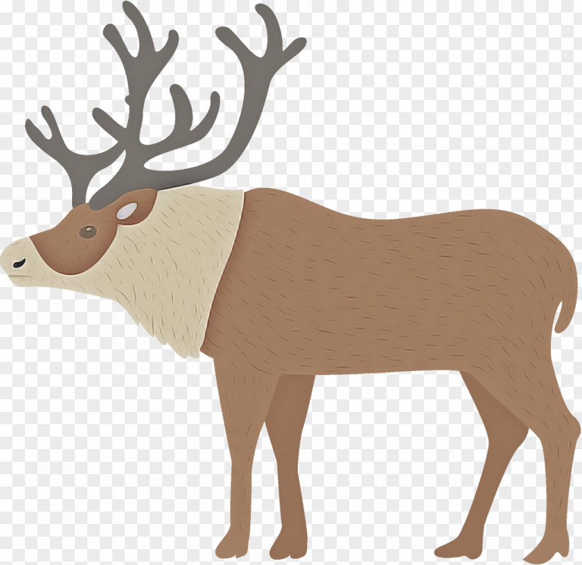 Reindeer Christmas PNG