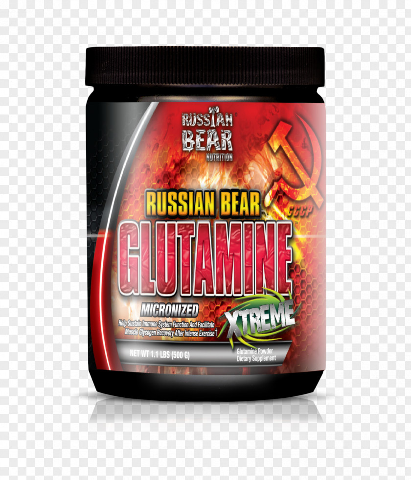 Russian Bear Dietary Supplement Glutamine Bodybuilding PNG