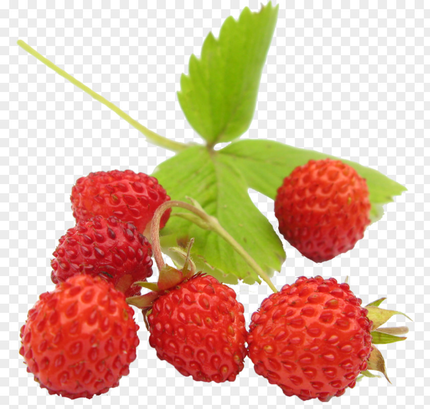 Strawberry Wild Amorodo Fruit PNG