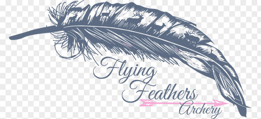 Arrow Feather Archery Wing T-shirt Font PNG