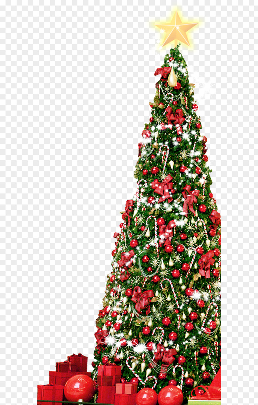 Big Christmas Tree Full Of Gifts PNG