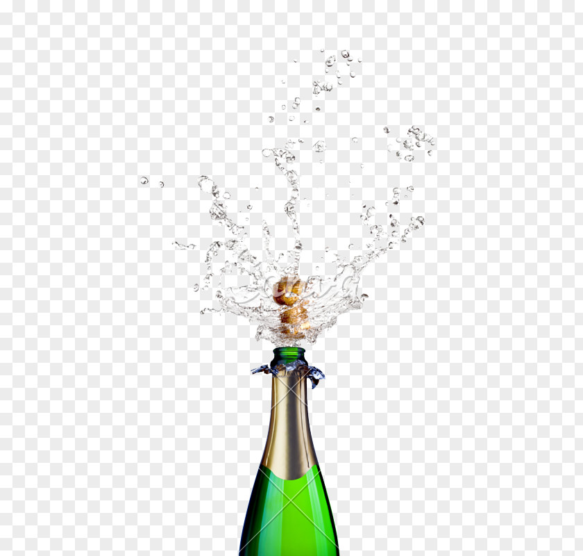 Champagne Stock Photography Image New Year PNG