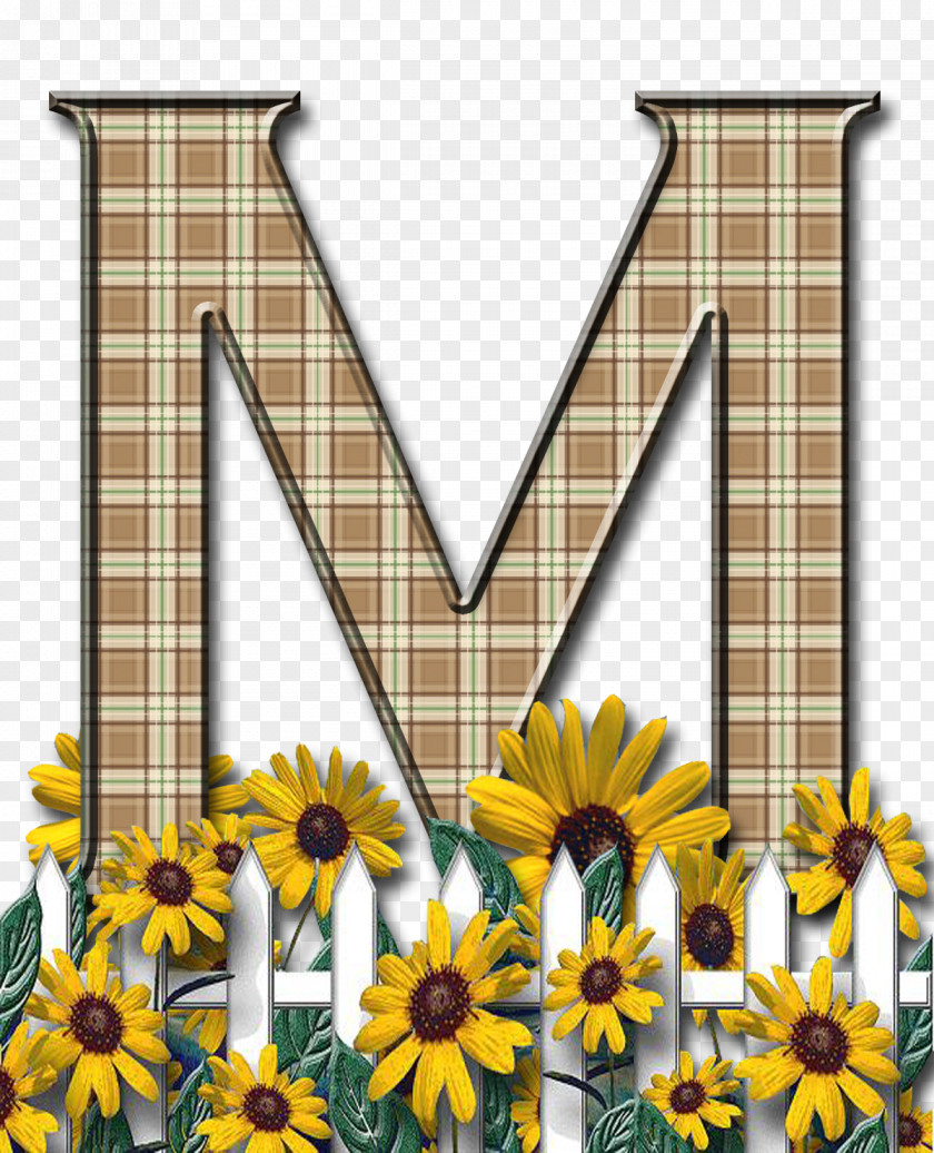 Flower Letter Case Alphabet PNG