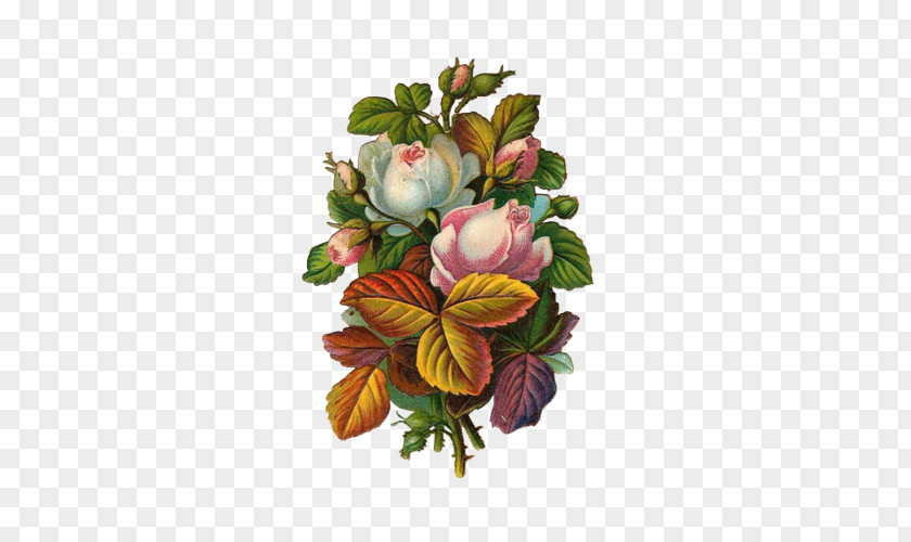 Hand-painted Roses Victorian Era Poster Rose Flower Advertising PNG