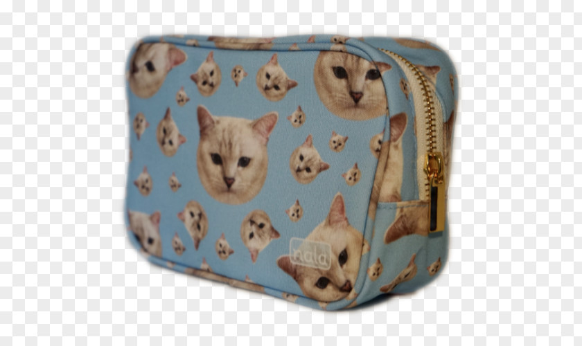 Kitten Handbag Whiskers PNG