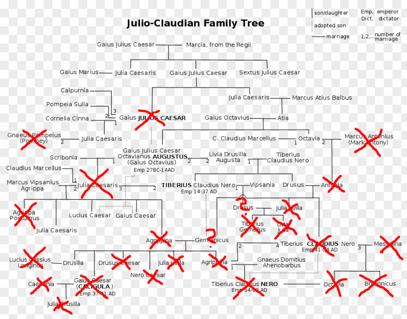 Line Albero Genealogico Giulio-claudio Point Angle PNG