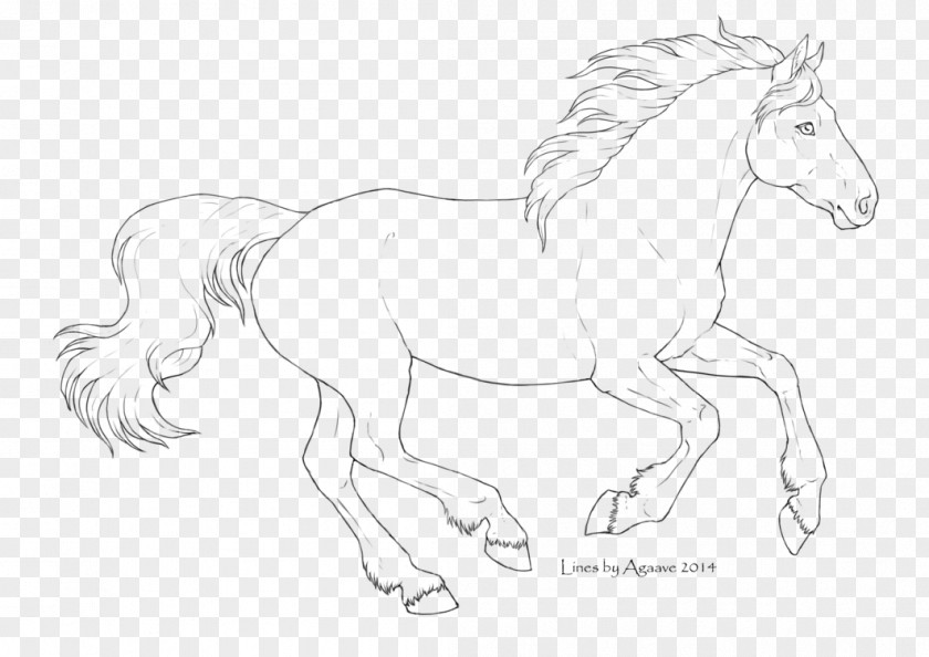 Lineart Horse Line Art Foal Stallion Pony PNG