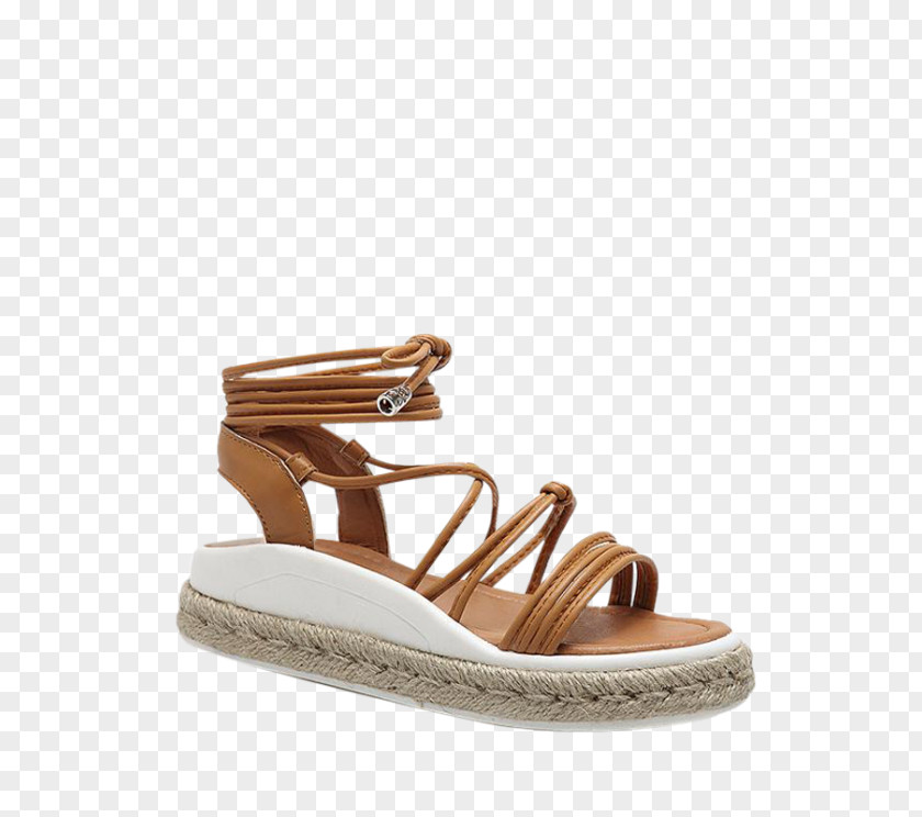 Sandal Espadrille Shoe Fashion Slide PNG