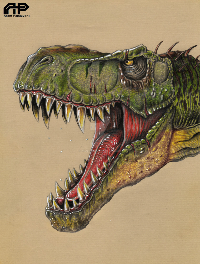 T Rex Tyrannosaurus Spinosaurus Velociraptor Dinosaur Drawing PNG