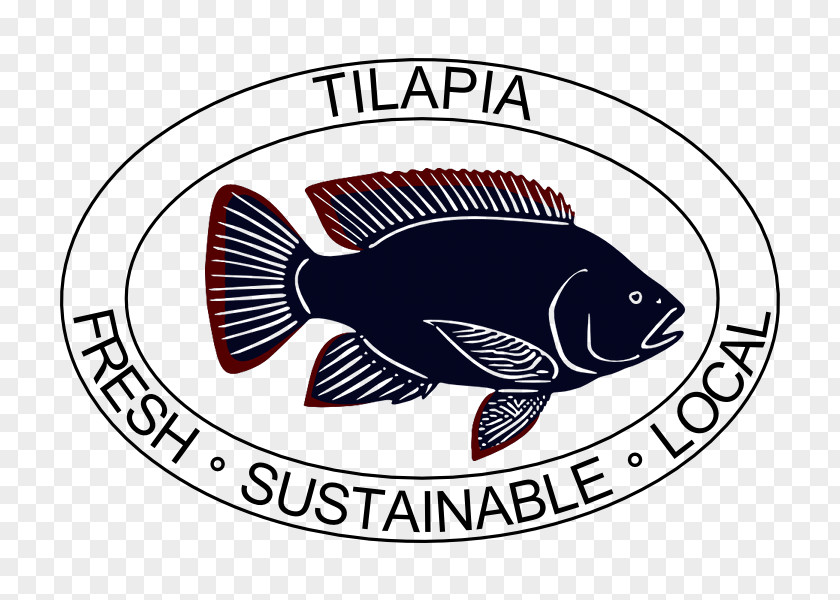 Tilapia Logo Fish Label Brand PNG
