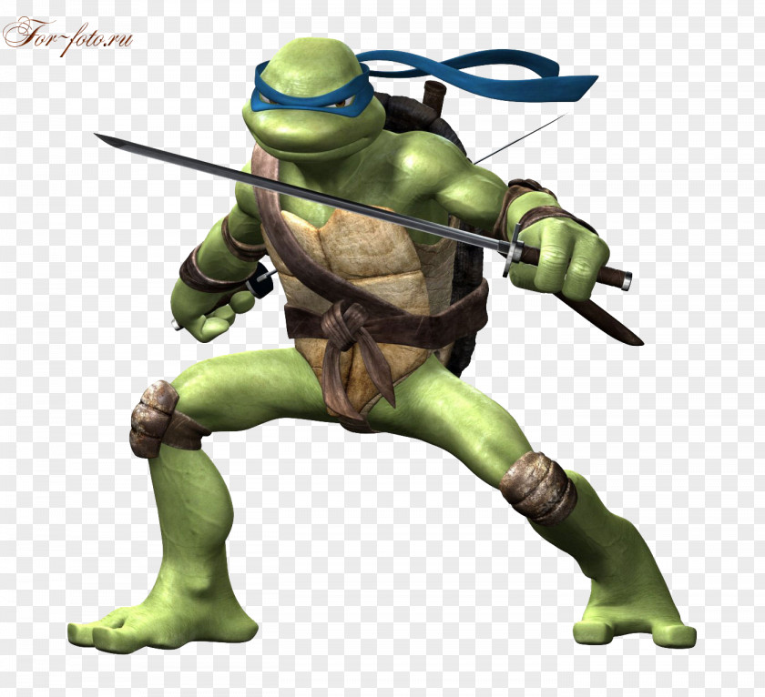 Turtle Leonardo Splinter Michelangelo Raphael Donatello PNG