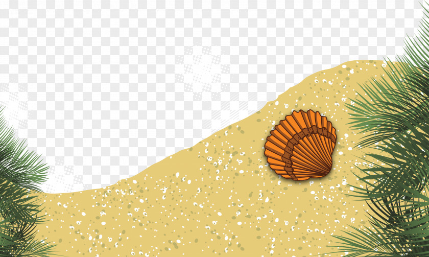 Vector Beach Summer Euclidean Download PNG