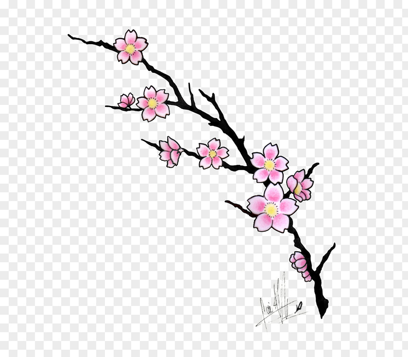 Cherry Blossom Art Drawing Tattoo Cartoon PNG