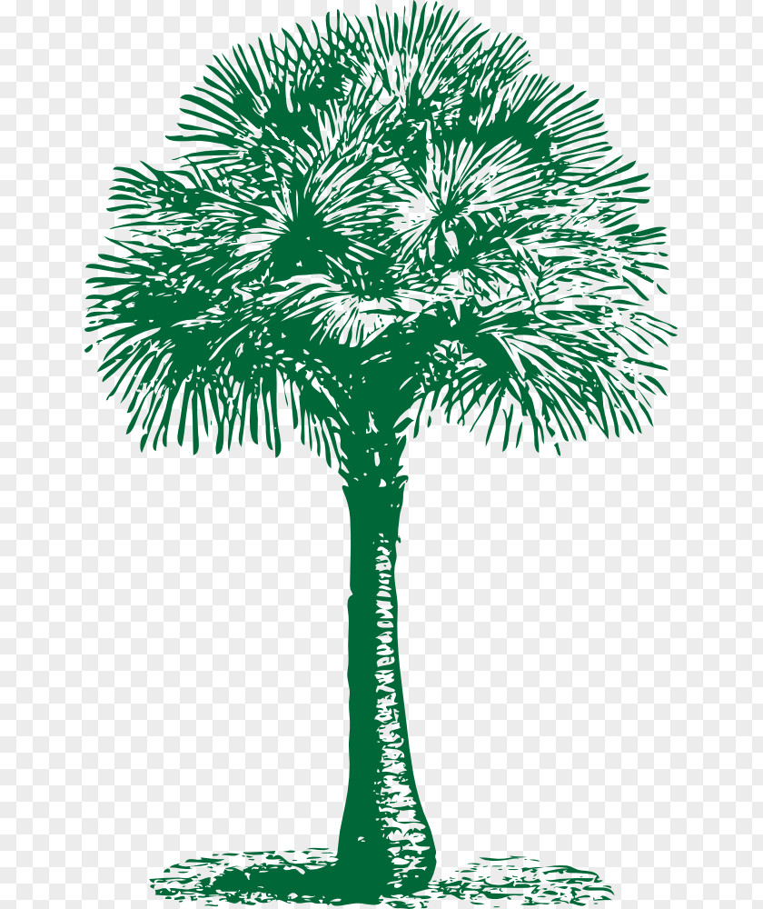 Coconut Tree Clipart Arecaceae Clip Art PNG