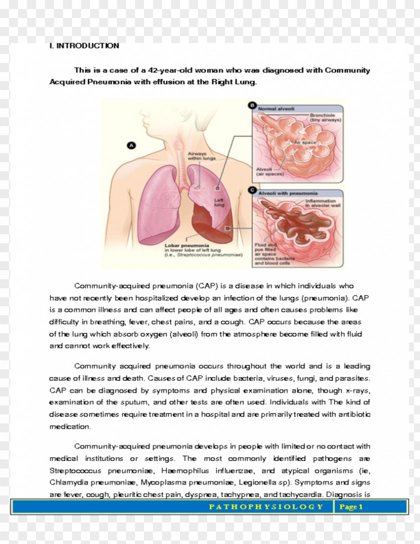 Health Pneumonia Tuberculosis Lung Disease Infection PNG