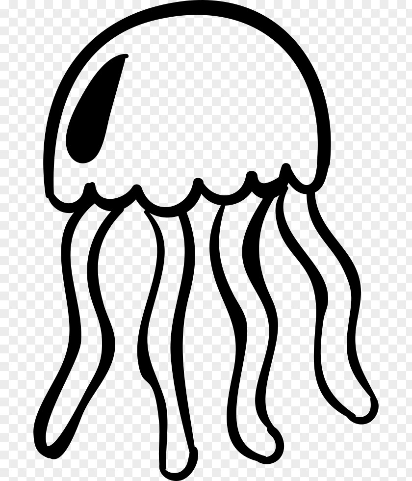 Jellyfish Clip Art PNG