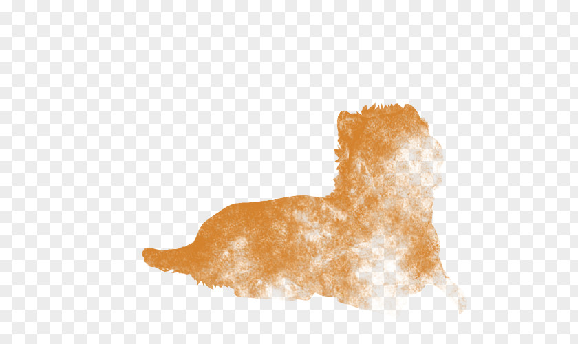 Lion Mammal Canidae Dog Snout PNG
