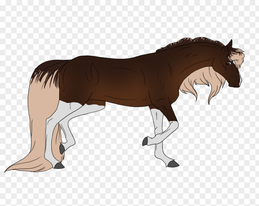 Mustang Mane Foal Stallion Mare PNG