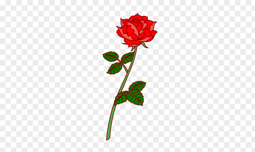 Rose Garden Roses Cut Flowers Floral Design PNG