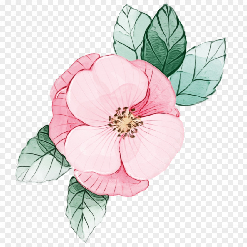 Rose PNG