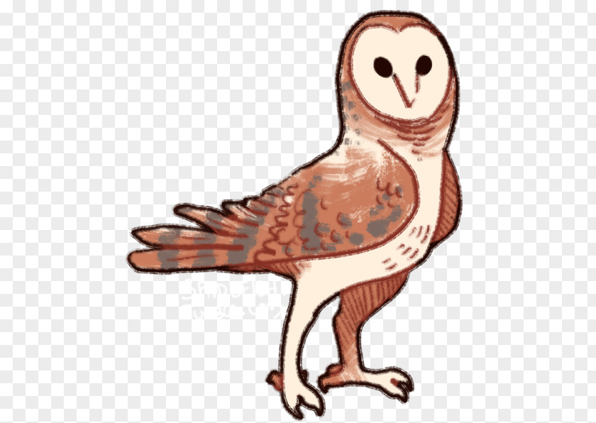 Tail Wildlife Owl Cartoon PNG