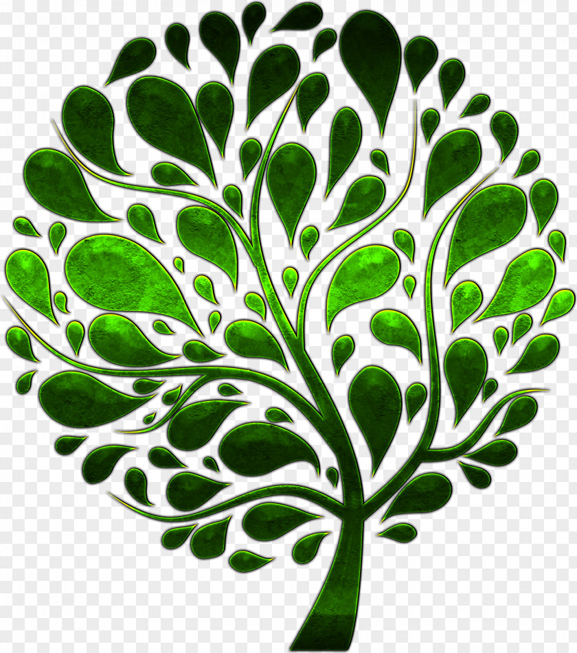 Tree Vector Funeral Celebrant Wedding Vow Renewal Ceremony PNG