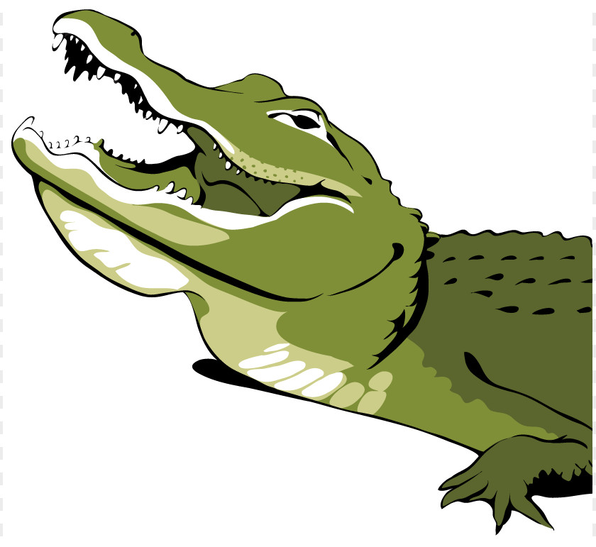 Alligator Illustrations Crocodiles Clip Art PNG