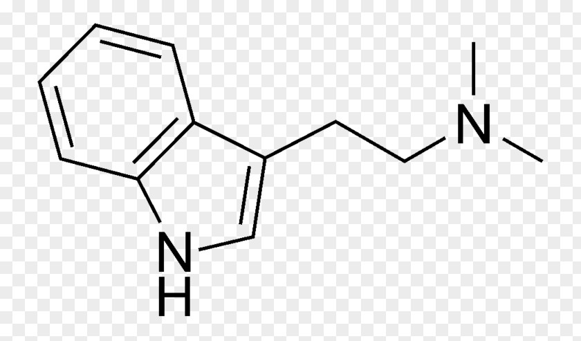 Dmt The Spirit Molecule N,N-Dimethyltryptamine O-Acetylpsilocin 5-MeO-DMT PNG