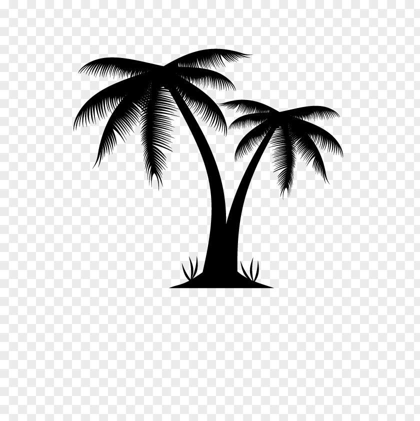 Palm Tree Arecaceae Euclidean Vector Illustration PNG