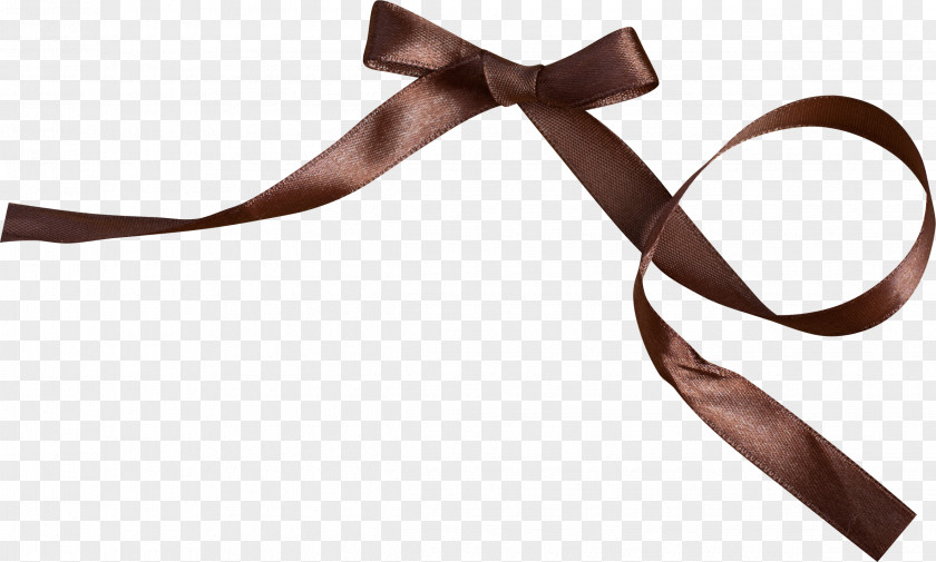 Passion Brown Ribbon Clip Art PNG