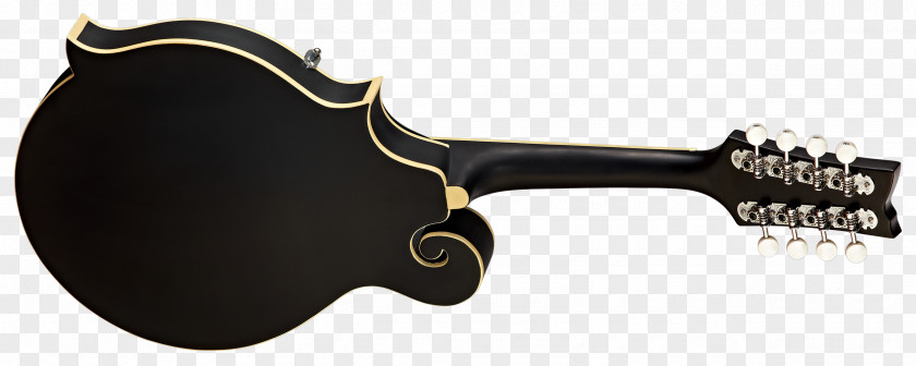 Amancio Ortega Musical Instruments Acoustic-electric Guitar Plucked String Instrument PNG