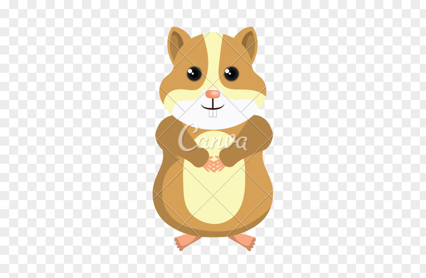 Hamster Rodent Chinchilla PNG