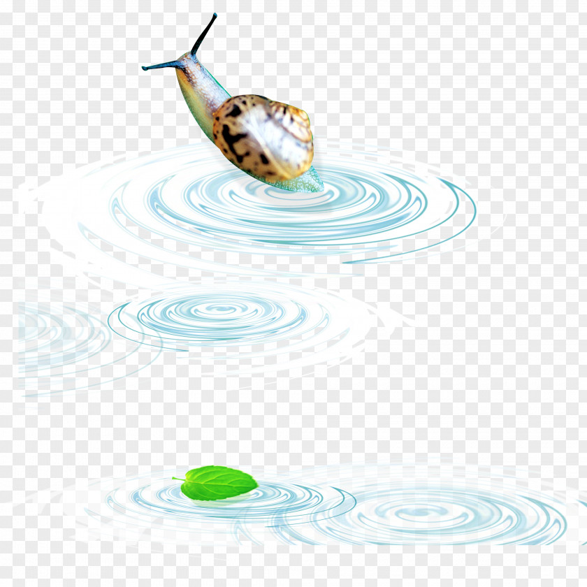 Water Droplets Snail PNG