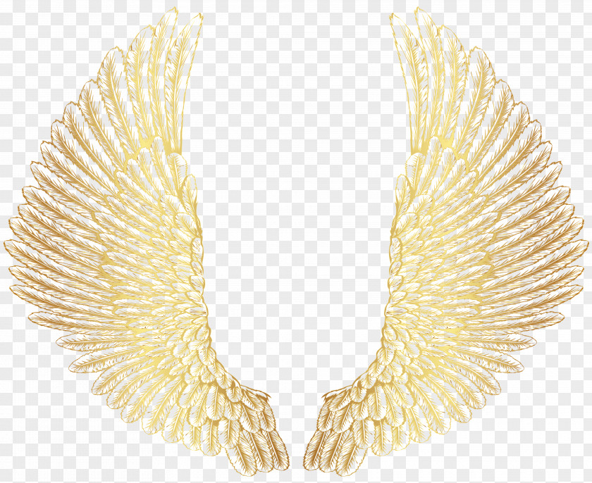 Angel Wing Drawing Clip Art PNG