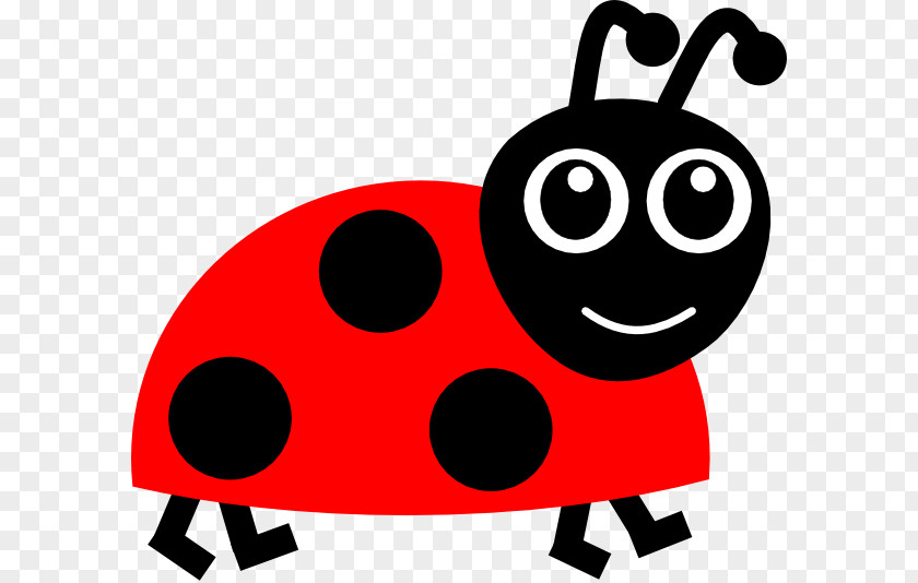 Ladybug Cartoon Images Beetle Ladybird Drawing Clip Art PNG