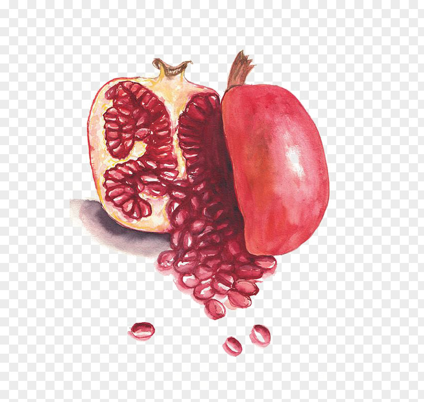 Pomegranate Fruit Auglis PNG