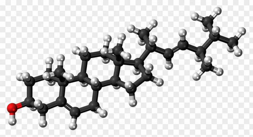 Progesterone Steroid Hormone Molecule Progestogen PNG