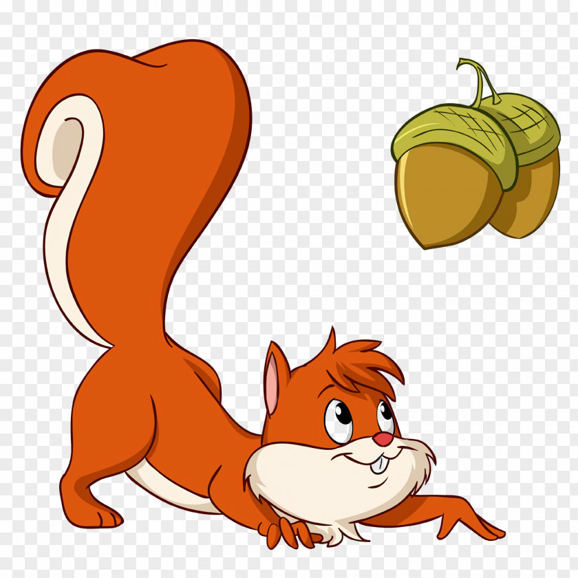 Squirrel Acorns PNG